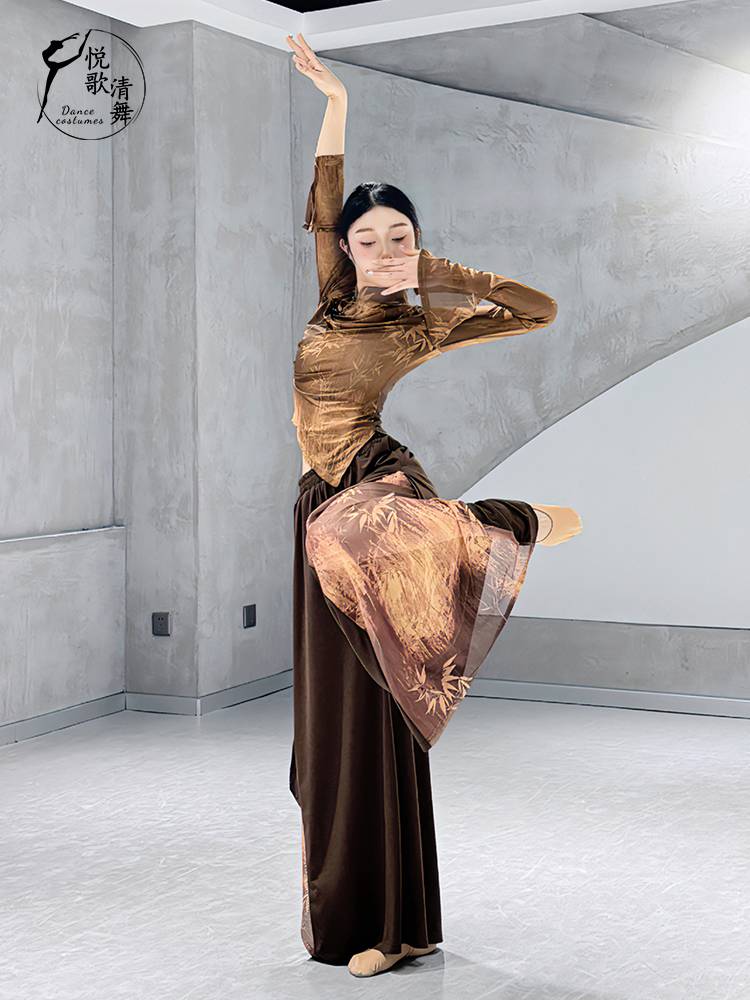 Classical dance yarn Chinese dance exercise kung furs 2024 new body performance suit elegant fairy dance top female model