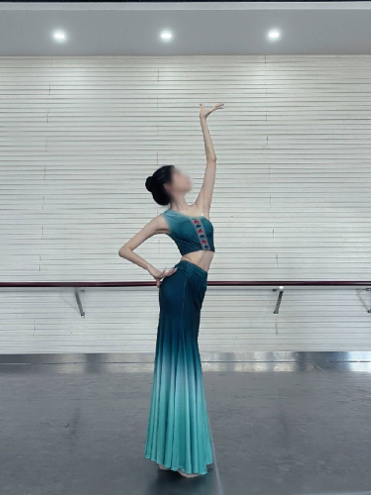 Dai dance clothing female adult performance dress dresses dance skirt fishtail half body skirt long skirt peacock dance art test