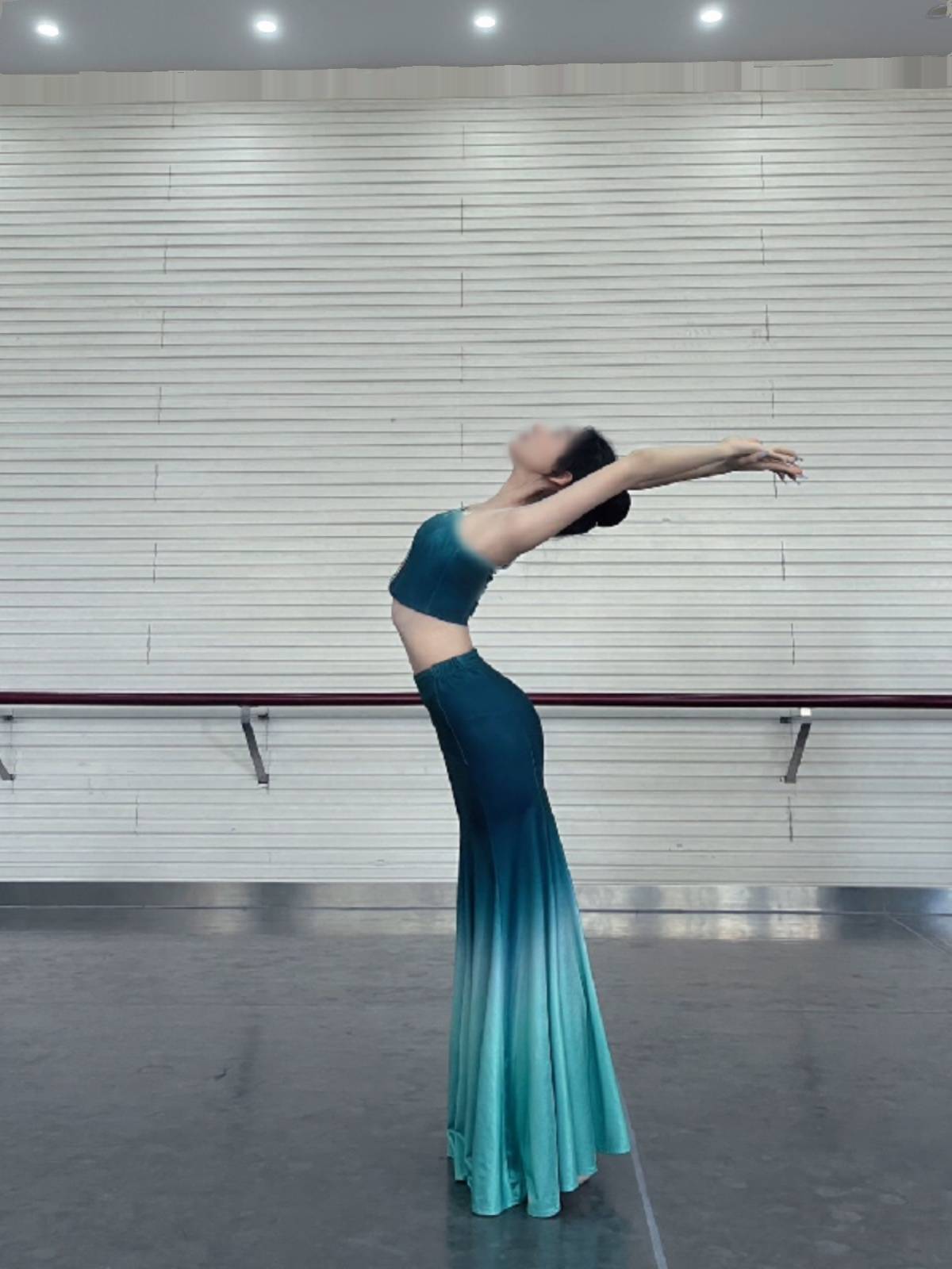 Dai dance clothing female adult performance dress dresses dance skirt fishtail half body skirt long skirt peacock dance art test