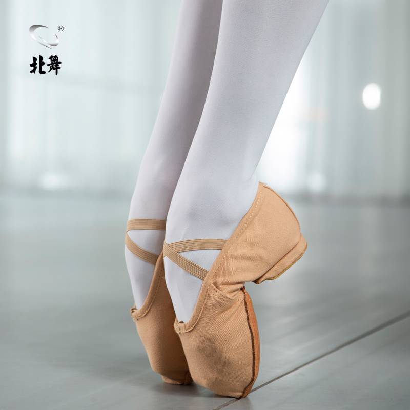 North Dance Teacher Shoes Camel Poor Adult Dance Shoes Female Female Soft Bottom Practice Shoes Dancing Osoles Belly Belly National Ballet Ballet Shoes