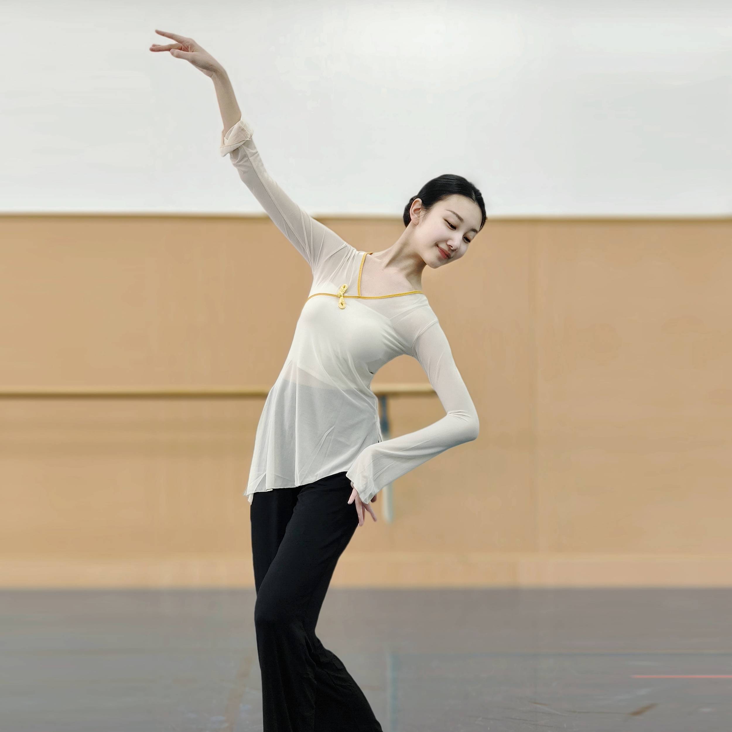 Classical dance long -sleeved top Chinese dance gauze dance service national dance exercise skills suit suit performance performance performance