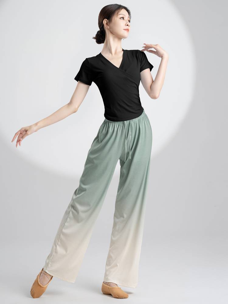 Shangmai's new modern dance -shaped training suit Chinese dance dance training service performed classical dance short -sleeved top women