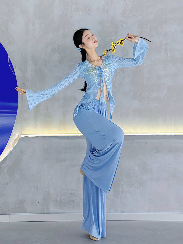 Classical dance new top jersey shape Chinese dance clothes performance clothes elegant blue dance practice service summer