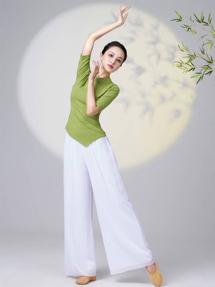 Classical dance service female body rhyme, practice cheongsam, standing collar, elegant Chinese dance national dance showing suit suits