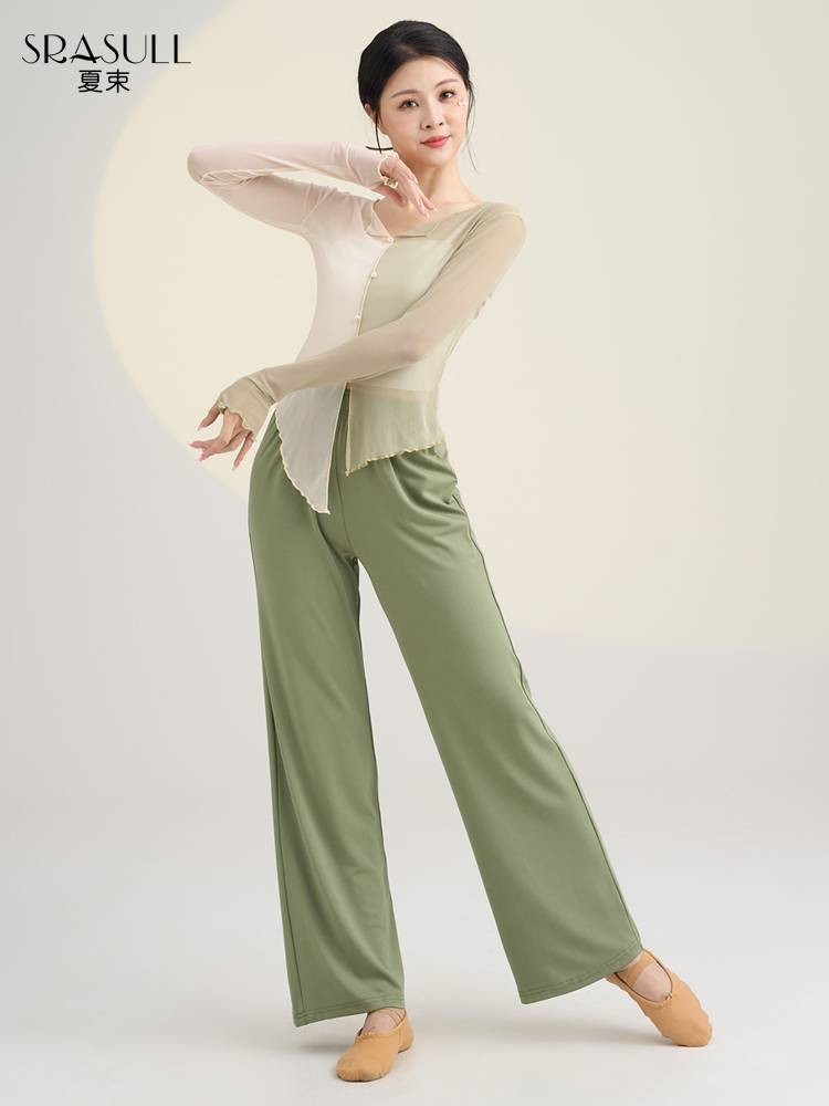 Xia Shu's new classical dance exercise, female elegant gauze Chinese dance Chinese dance thin top modern dance dance clothes spring and summer