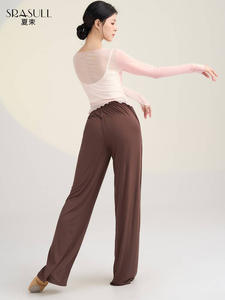 Xia Shu's new classical dance exercise, female elegant gauze Chinese dance Chinese dance thin top modern dance dance clothes spring and summer