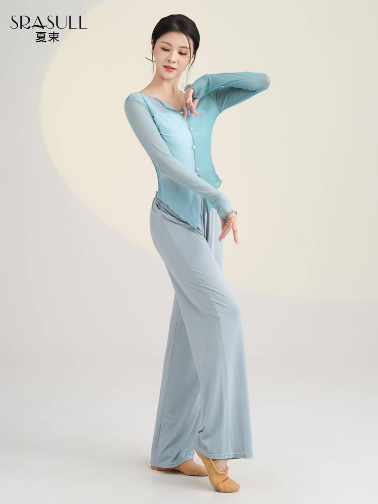 Xia Shu's new classical dance exercise, female elegant gauze Chinese dance Chinese dance thin top modern dance dance clothes spring and summer