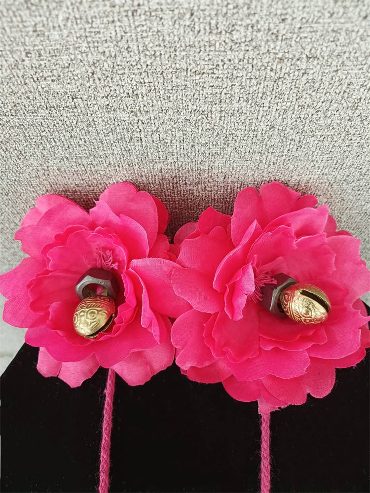 The Dai Bell Bell Adult Practice Practice Performance Dance Performance Art Examination Performs female student ethnic style clothing customization