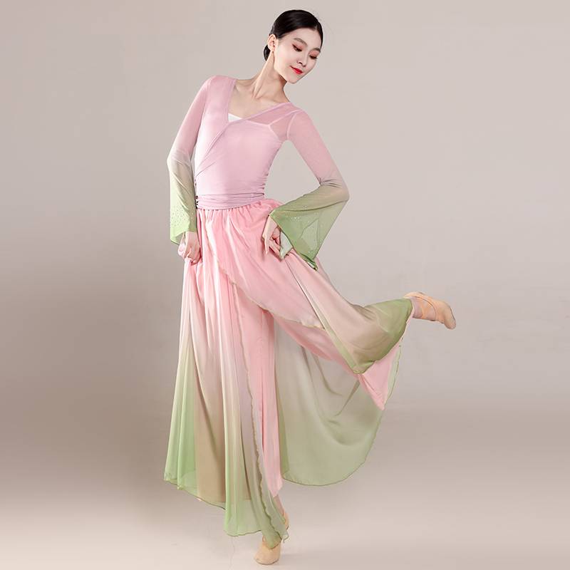 Classical dance dance clothing elastic net gauze top rhyme, elegant gauze, practice service Chinese dance nation performance clothing