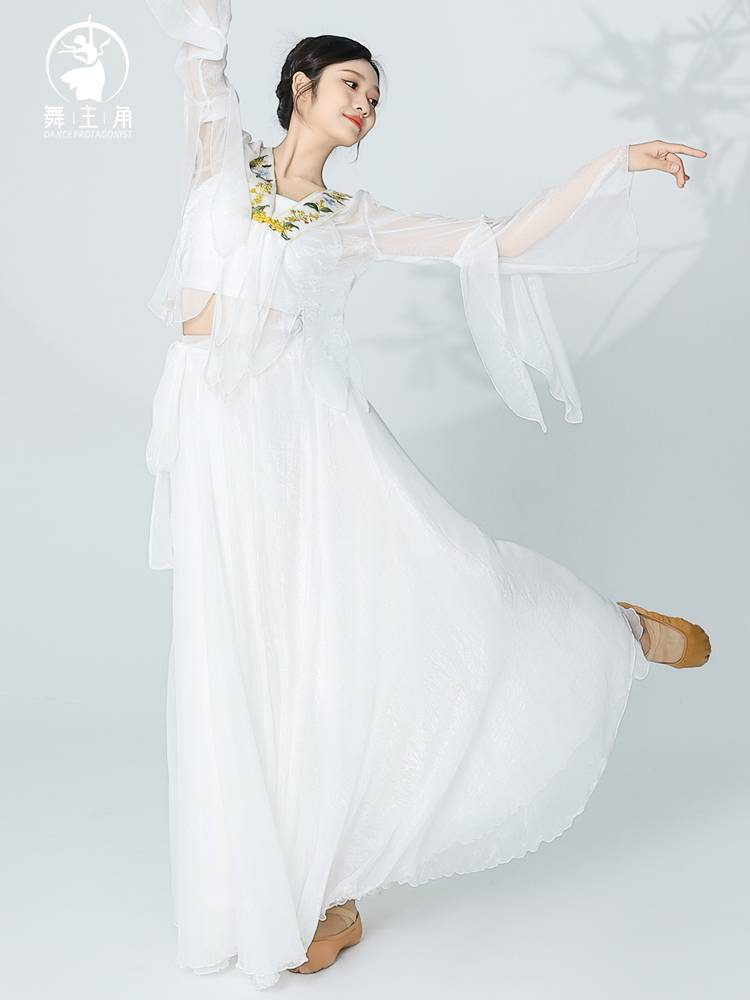 Dance protagonist Classical dance service female elegant handmade embroidery gradient gauze fairy -like Han and Tang national dance performances