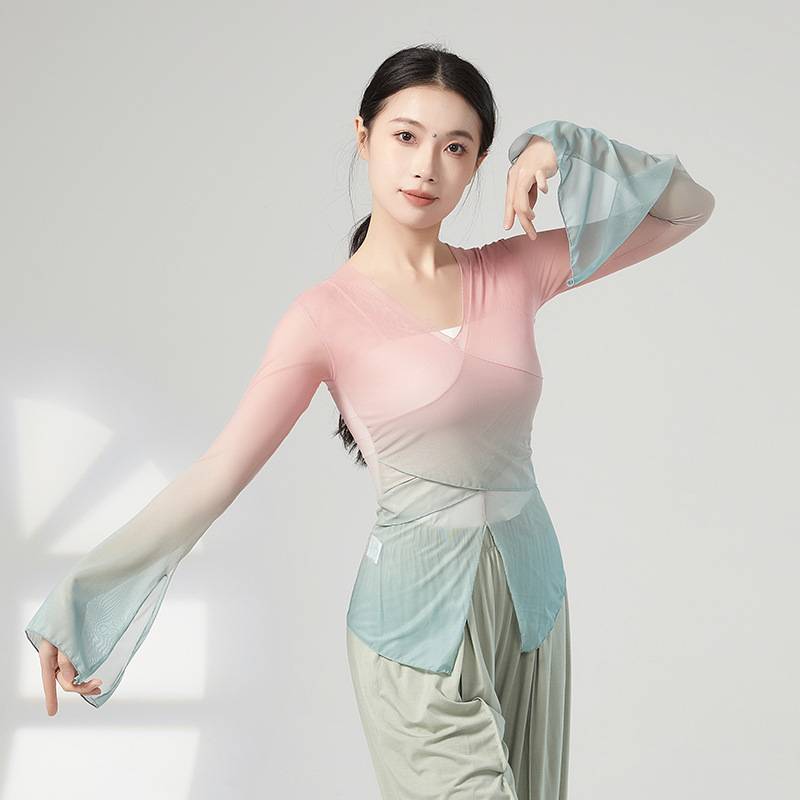 New Teacher Professional Chinese Dance Body Rhymes Female Classical Dance Gatey Dance Sataris National Dance Clothing Top
