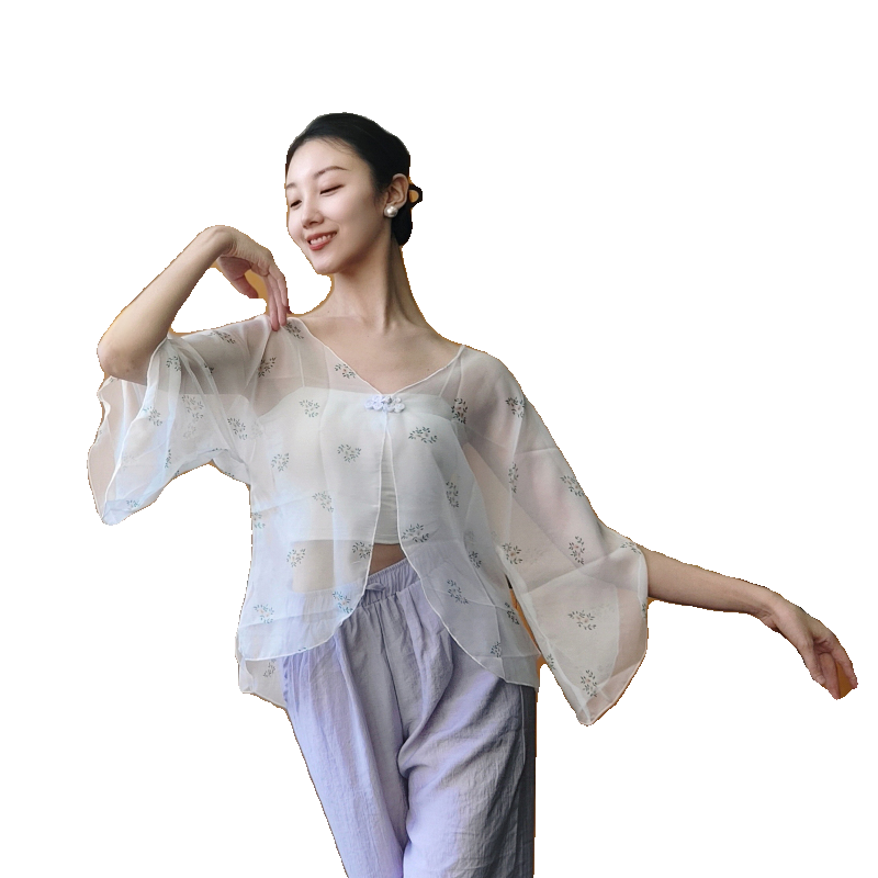 Classical dance gauze Chinese dance clothing body rhyme dance top female new spring and summer dance practice uniform