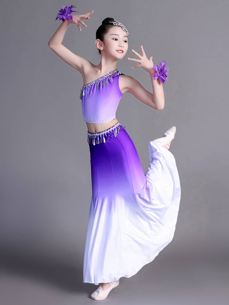 Yunnan Dai dance clothing girl national art test practice practice half -body skirt peacock dance bag hip fishtail skirt female