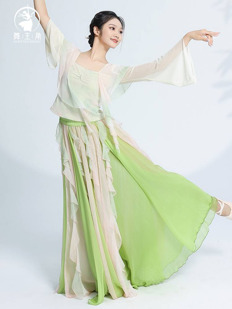 Dance protagonist Classical dance dance clothing top, elegant female Han Tang yaner practice clothes Chinese style national performance clothing