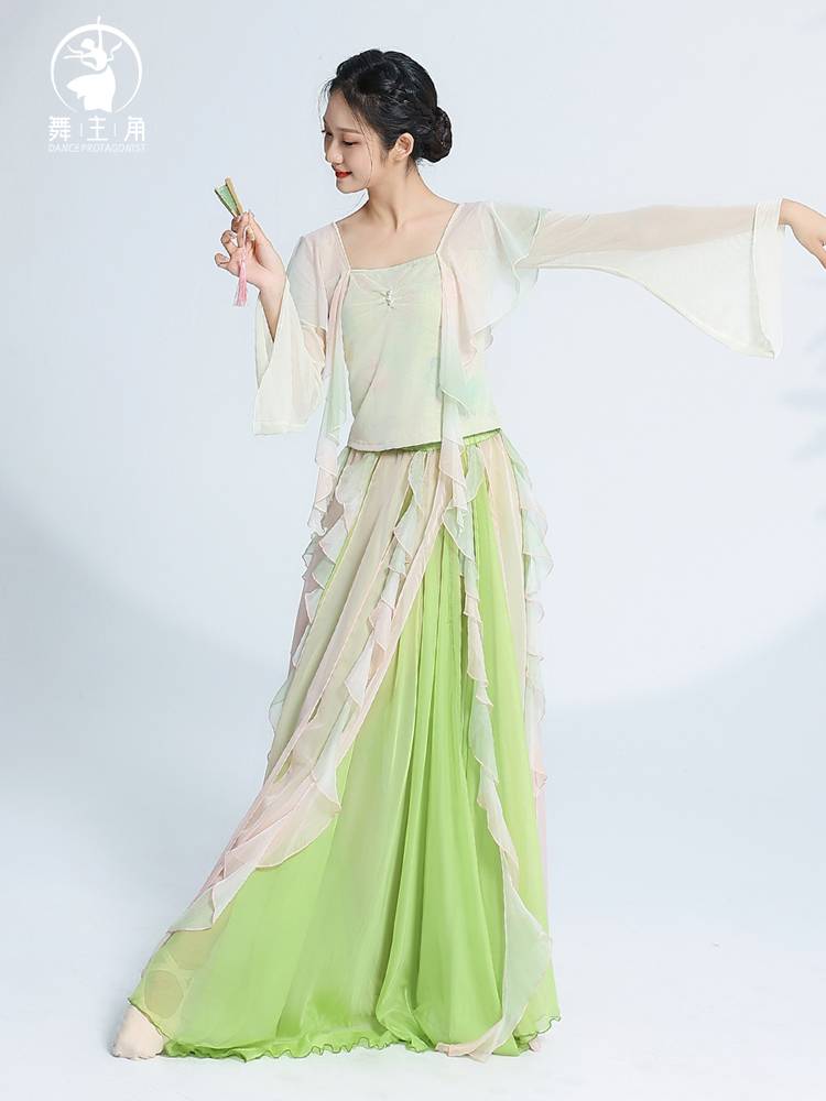 Dance protagonist Classical dance dance clothing top, elegant female Han Tang yaner practice clothes Chinese style national performance clothing