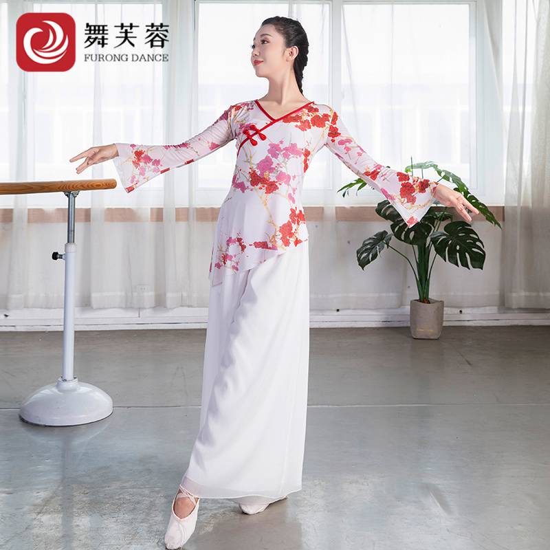 Classical dance service net yarn female elegant training service base training art test performance service national Chinese dance body rhyme dance gauze clothes