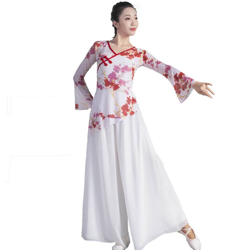Classical dance service net yarn female elegant training service base training art test performance service national Chinese dance body rhyme dance gauze clothes