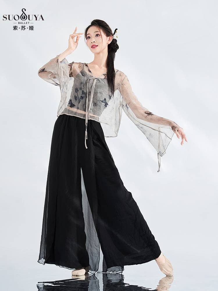 Susua classical gauze horn sleeve sleeve Chinese ancient Feng ink printing fairy, fluttering rhyme, performance suit top
