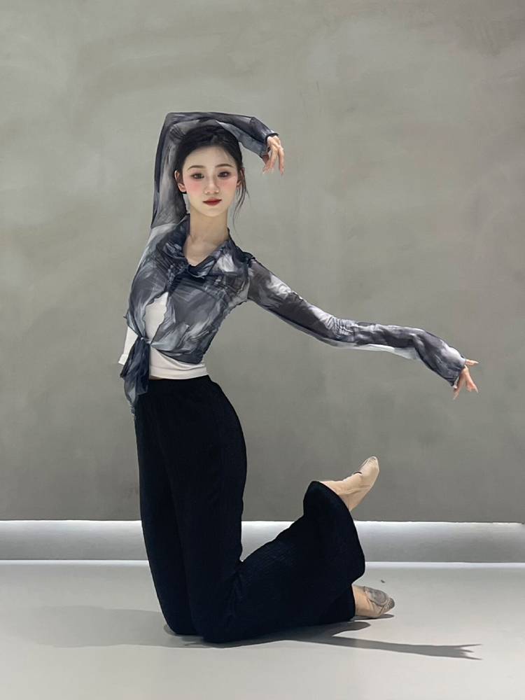 Classical dance gauze female Chinese dance -shaped body jersey net yarn shirt summer new adult modern dance exercise uniform