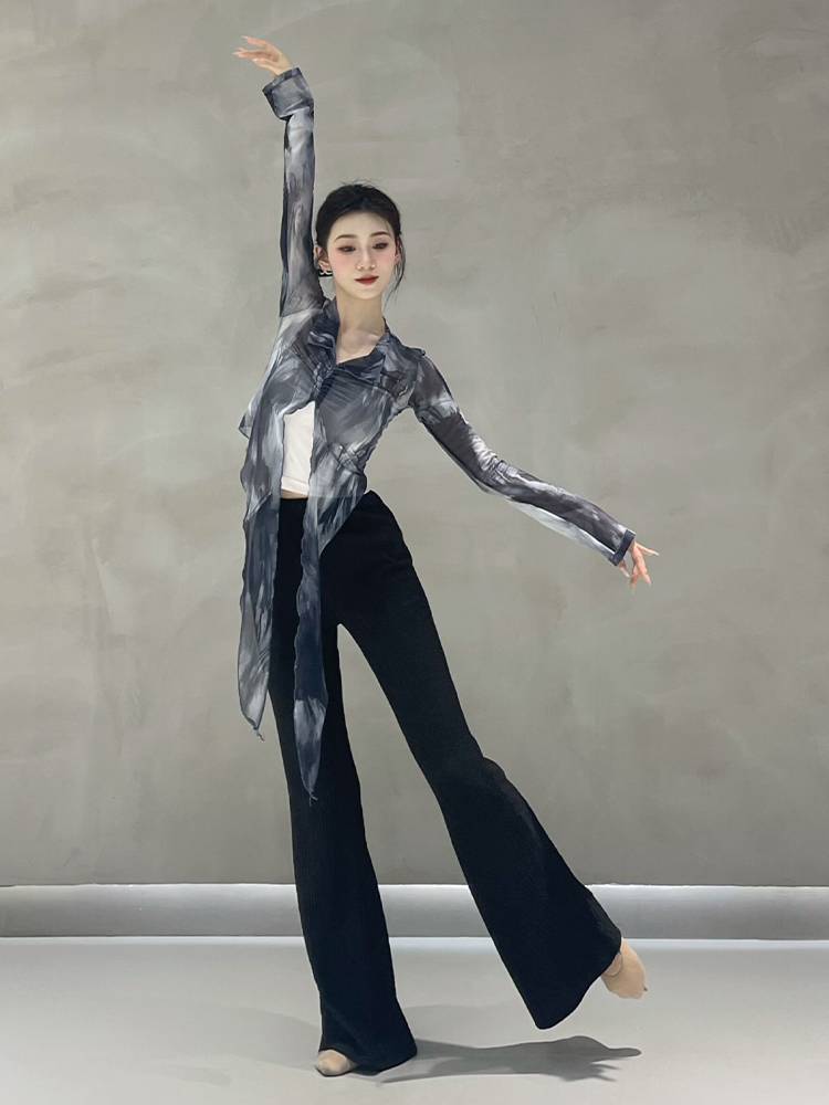 Classical dance gauze female Chinese dance -shaped body jersey net yarn shirt summer new adult modern dance exercise uniform