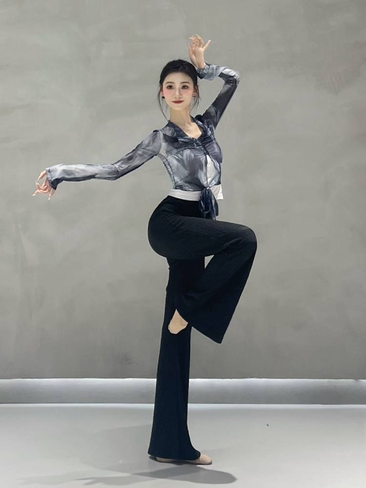 Classical dance gauze female Chinese dance -shaped body jersey net yarn shirt summer new adult modern dance exercise uniform