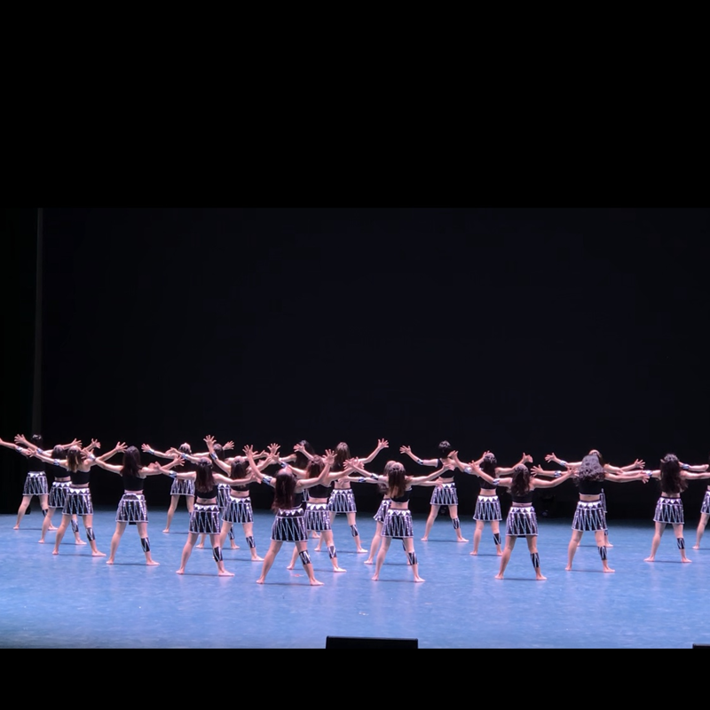 Yunnan Adult Lauret women's hair dance dance service Aju Ava National Stage clothing Shebuzhuang performance clothing