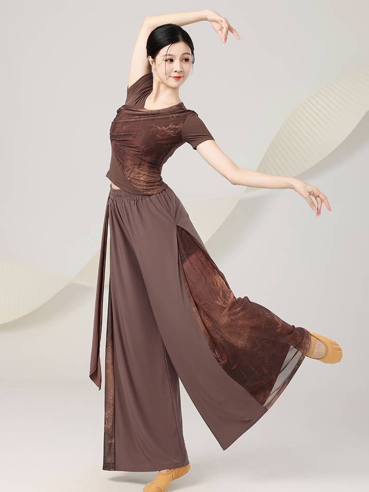 Classical dance service women's shirt short -sleeved country Feng ink Chinese national modern dance -shaped body performance dance practice service summer