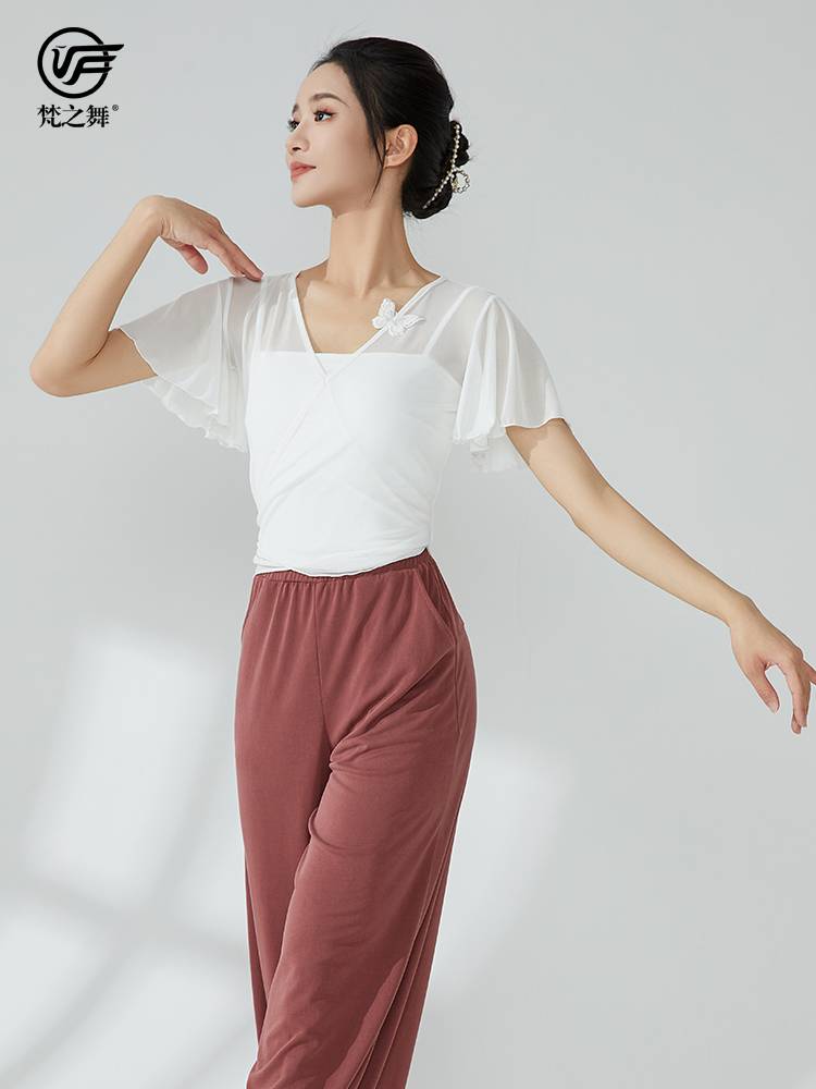 Brahma Dance Classical Dance Level Training Body Charming Dress Dance Dance Short Gauze Top Female Flying Flying Sleeve Sleeve Sleeve