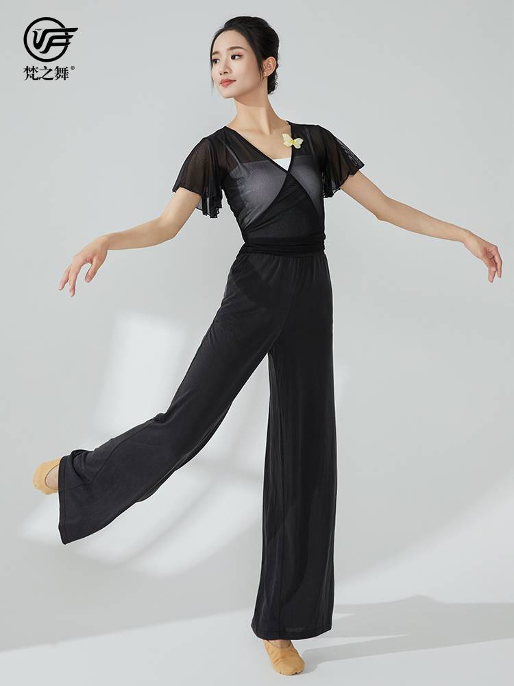Brahma Dance Classical Dance Level Training Body Charming Dress Dance Dance Short Gauze Top Female Flying Flying Sleeve Sleeve Sleeve