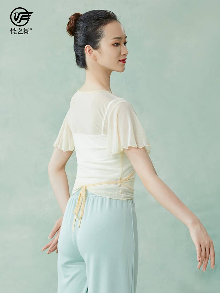 Brahma Dance Classical Dance Level Training Body Charming Dress Dance Dance Short Gauze Top Female Flying Flying Sleeve Sleeve Sleeve