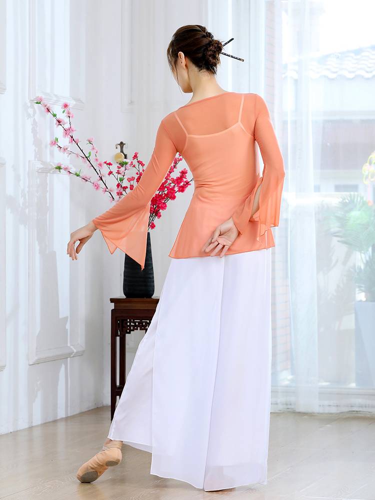 Classical dance service performance service new modern national dance practice service students stage dressing ancient style elegant gauze clothes
