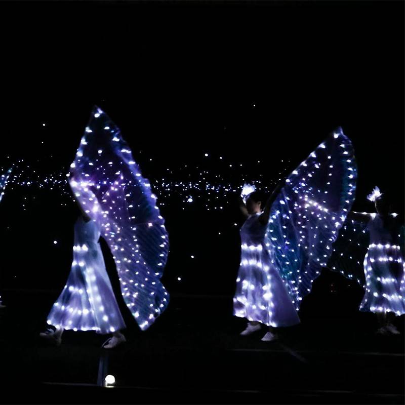 Performing light wings, fluorescent butterfly dance cloak, national stage clothing belly dance cloak ballet watch show