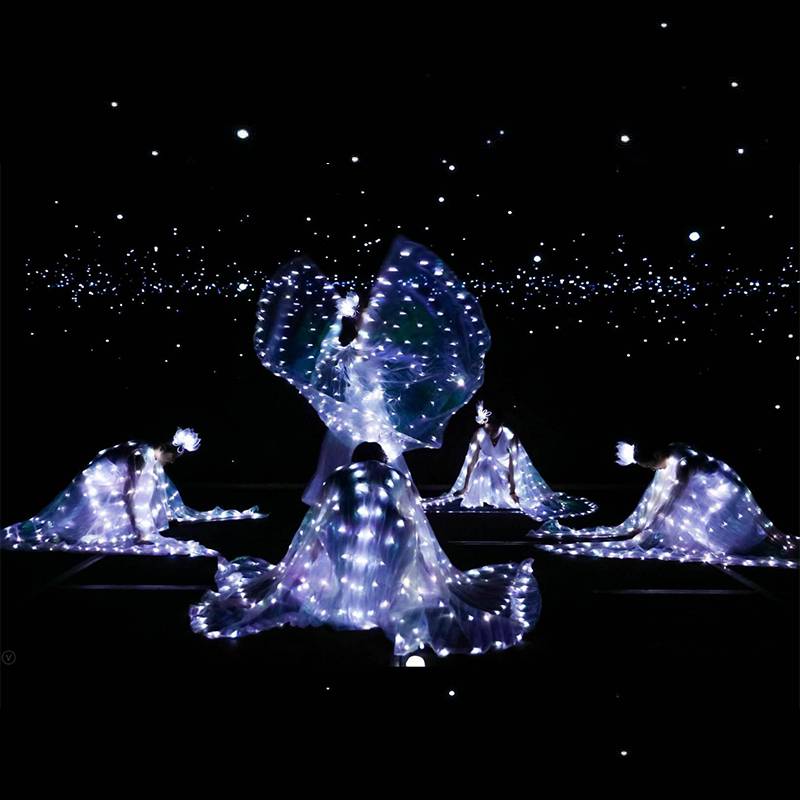 Performing light wings, fluorescent butterfly dance cloak, national stage clothing belly dance cloak ballet watch show