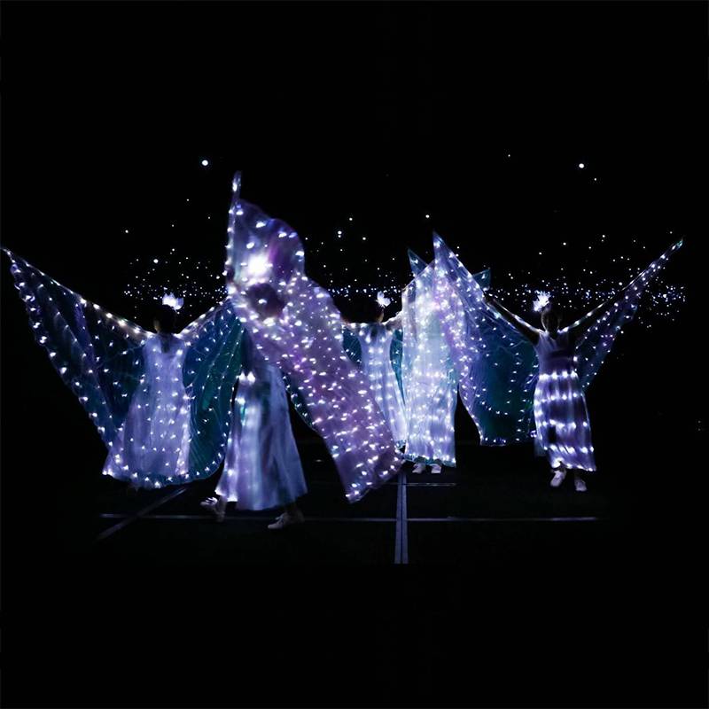 Performing light wings, fluorescent butterfly dance cloak, national stage clothing belly dance cloak ballet watch show