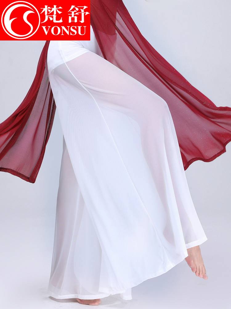 Fanshu Modern Dance Pants 2024 new wide -leg sexy mesh classical modern national dance exercise dance pants