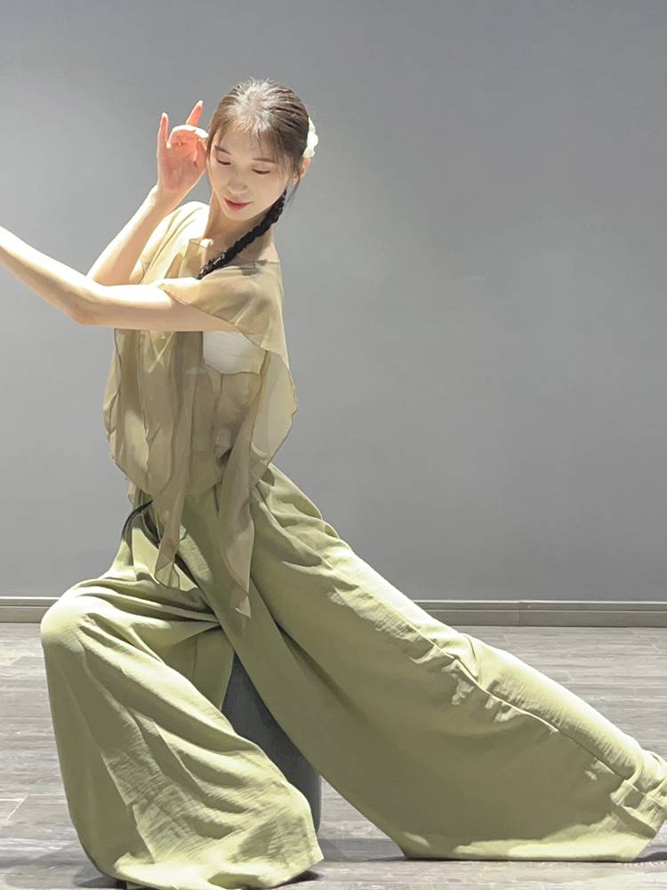 Classical Dance Dance Fun Dressing Delivery Flower Fairy Gauze Female Female Chinese Dance Person Dance Clothing Chiffon Top