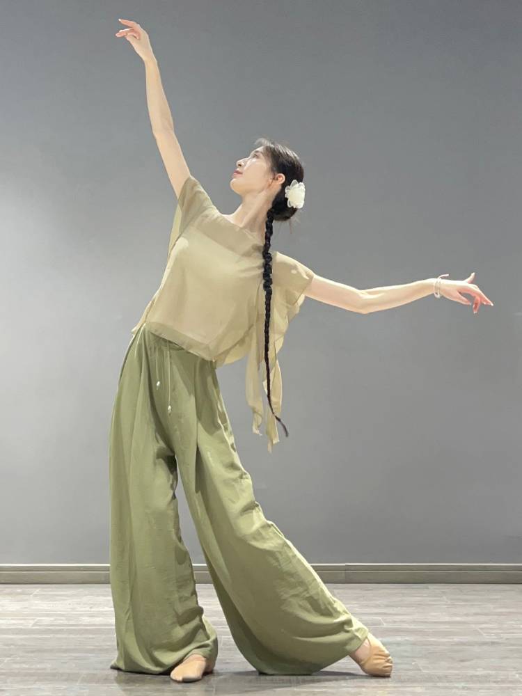 Classical Dance Dance Fun Dressing Delivery Flower Fairy Gauze Female Female Chinese Dance Person Dance Clothing Chiffon Top
