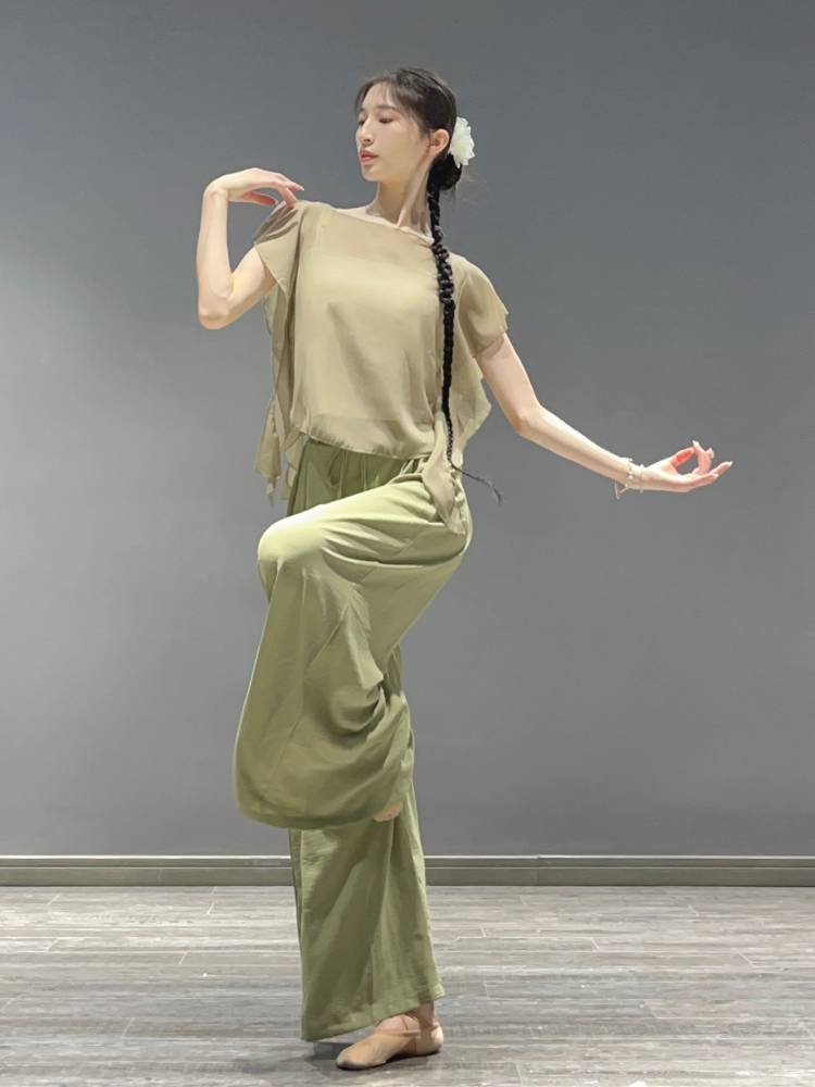 Classical Dance Dance Fun Dressing Delivery Flower Fairy Gauze Female Female Chinese Dance Person Dance Clothing Chiffon Top