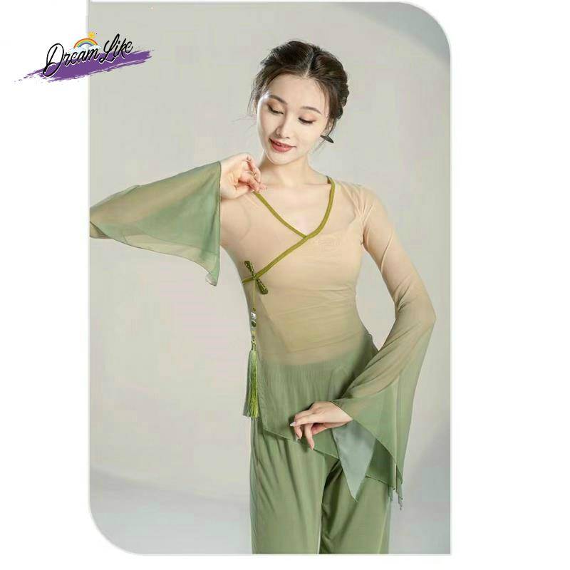 The new female classical dance clothing body rhyme, gradient gauze, practice service, Chinese style national dance, admitted to the top