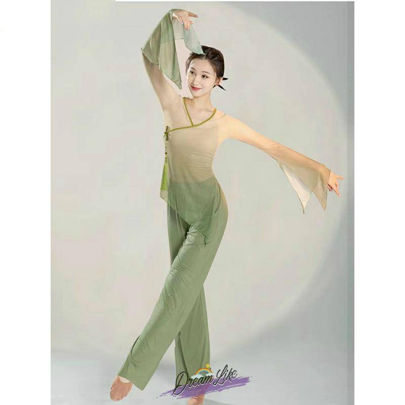 The new female classical dance clothing body rhyme, gradient gauze, practice service, Chinese style national dance, admitted to the top