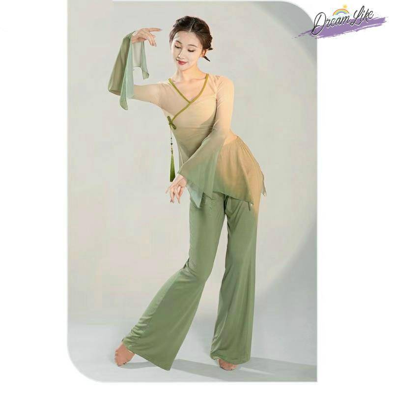 The new female classical dance clothing body rhyme, gradient gauze, practice service, Chinese style national dance, admitted to the top