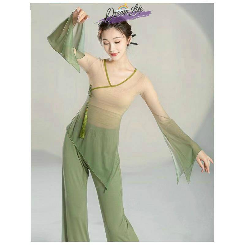 The new female classical dance clothing body rhyme, gradient gauze, practice service, Chinese style national dance, admitted to the top