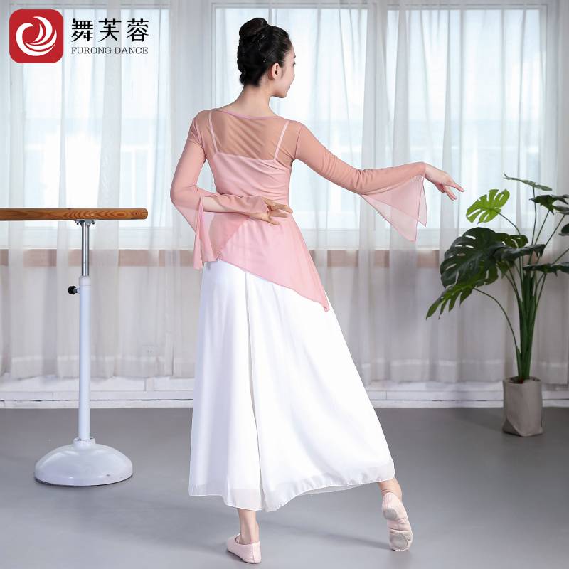 Classical dance service female elegant practice service art test shows the national Chinese dance body rhyme dance dance gauze suit