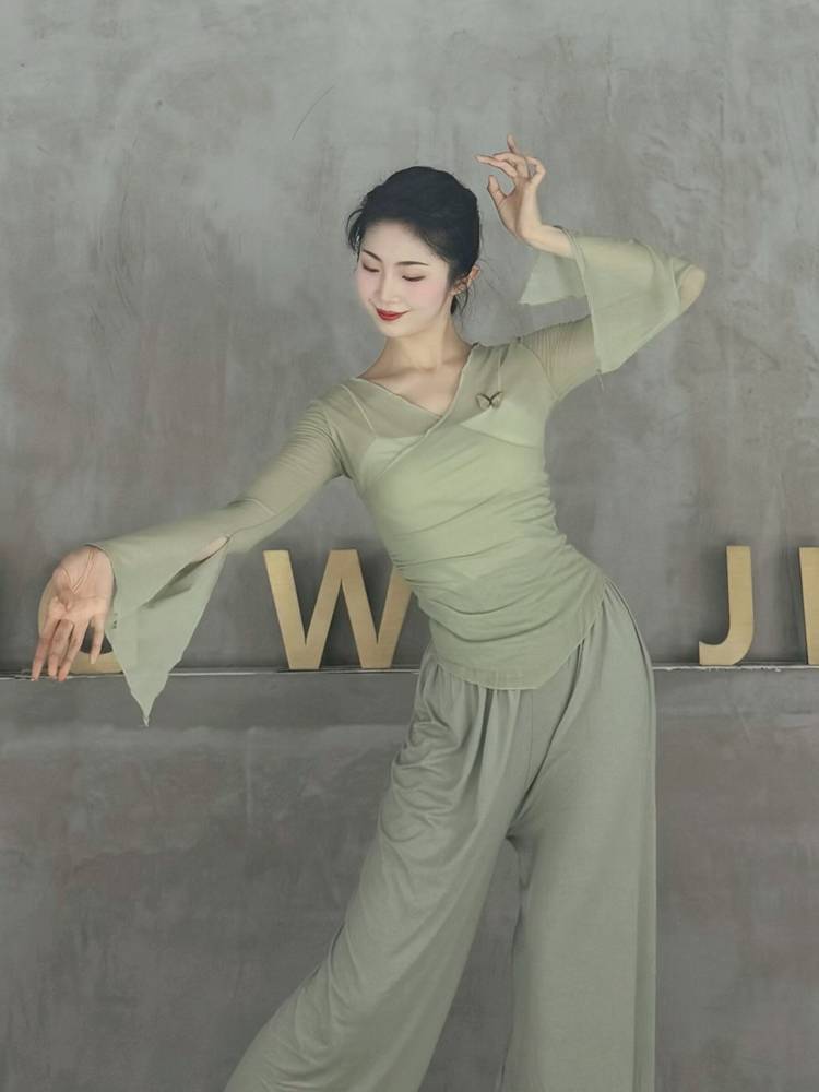 Classical dance body rhyme gauze butterfly net gauze top training dance teacher class service Chinese national dance clothing