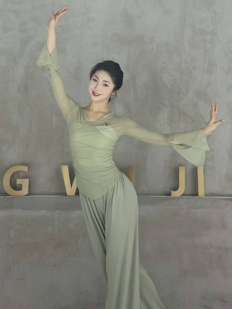 Classical dance body rhyme gauze butterfly net gauze top training dance teacher class service Chinese national dance clothing
