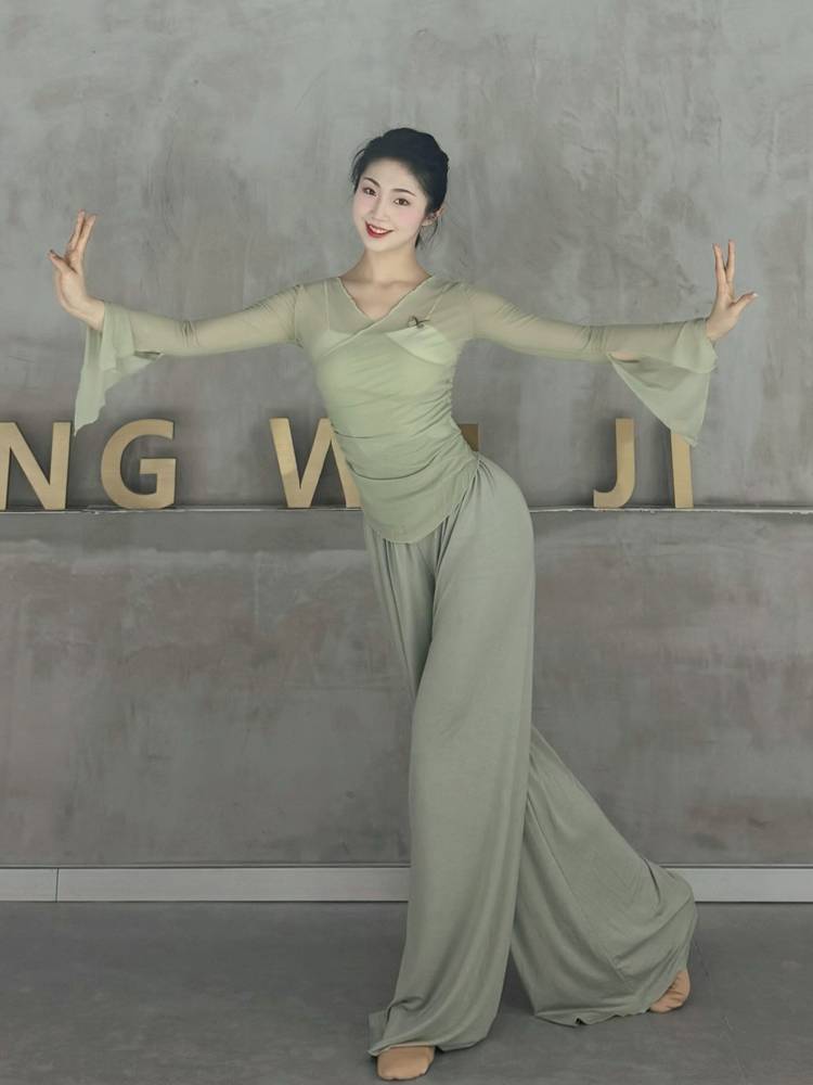 Classical dance body rhyme gauze butterfly net gauze top training dance teacher class service Chinese national dance clothing