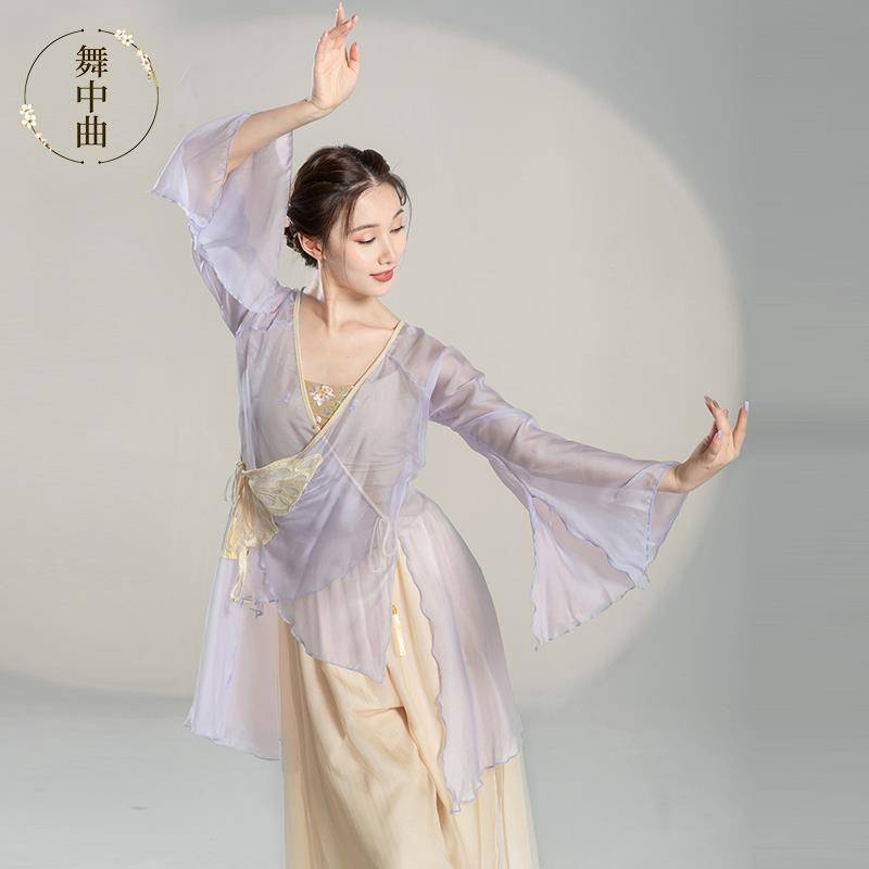 Dance Classic Dance Dance Funny Female Female Fairy Fairy Top Chinese Style National Dance Performance Clothing