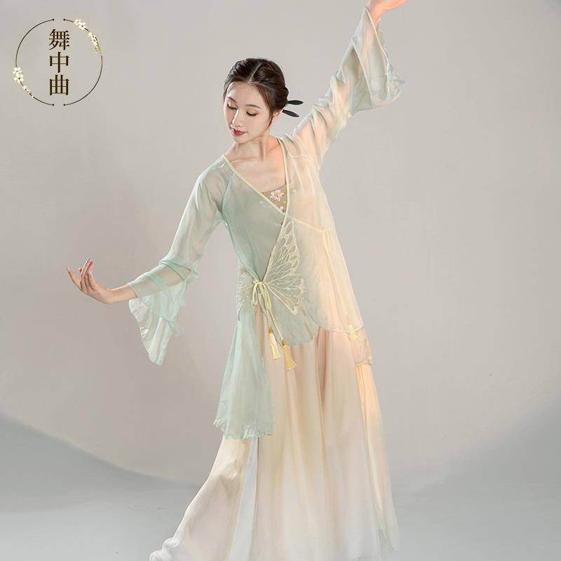 Dance Classic Dance Dance Funny Female Female Fairy Fairy Top Chinese Style National Dance Performance Clothing
