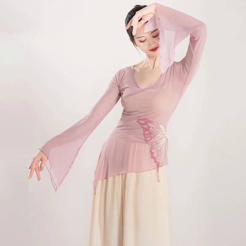 Classical dance body rhyme, elegant gauze, Chinese dance national dance ethnic dance art collection training skills clothing top