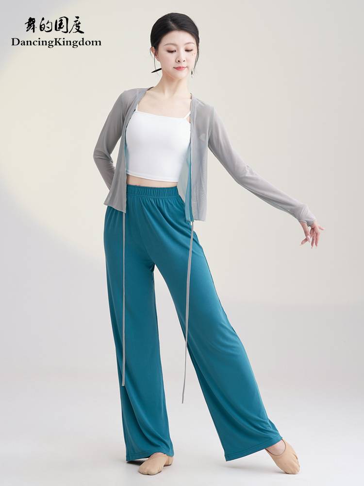Classical dance clothing body rhyme, thin gauze Chinese dance, elegant shirt, female performance, skirt pants, national dance watch show